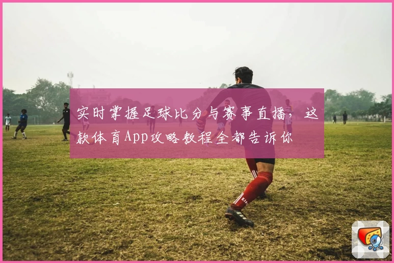 实时掌握足球比分与赛事直播，这款体育App攻略教程全都告诉你