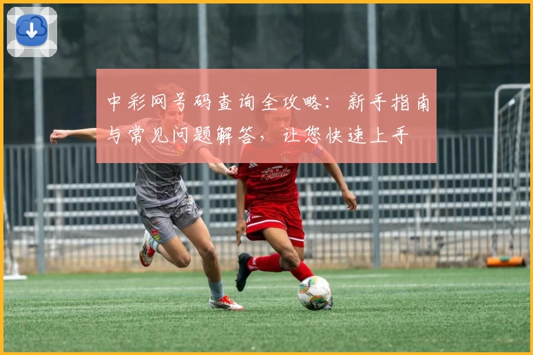 中彩网号码查询全攻略：新手指南与常见问题解答，让您快速上手