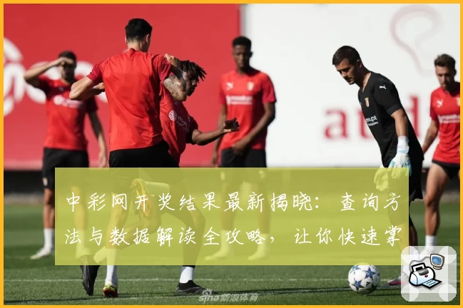 中彩网开奖结果最新揭晓：查询方法与数据解读全攻略，让你快速掌握查看技巧