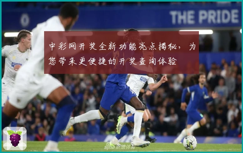 中彩网开奖全新功能亮点揭秘，为您带来更便捷的开奖查询体验