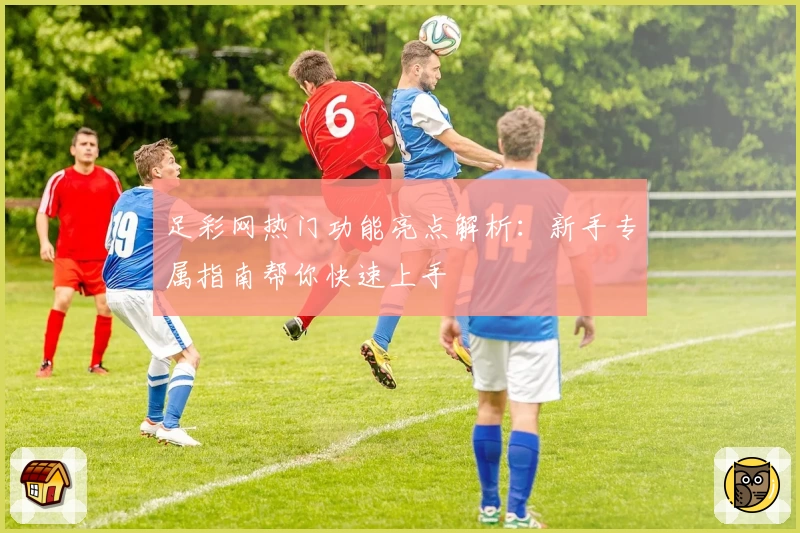 足彩网热门功能亮点解析:新手专属指南帮你快速上手