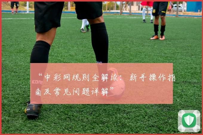 “中彩网规则全解读：新手操作指南及常见问题详解”