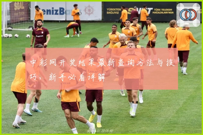 中彩网开奖结果最新查询方法与技巧，新手必看详解