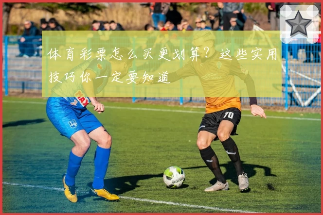 体育彩票怎么买更划算？这些实用技巧你一定要知道